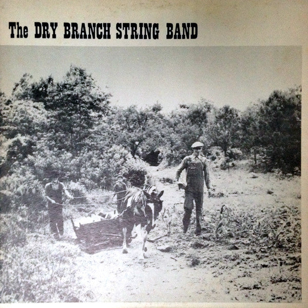 The Dry Branch String Band : The Dry Branch String Band (LP, Album)