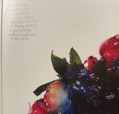 Animal Collective : Strawberry Jam (2xLP, Album)