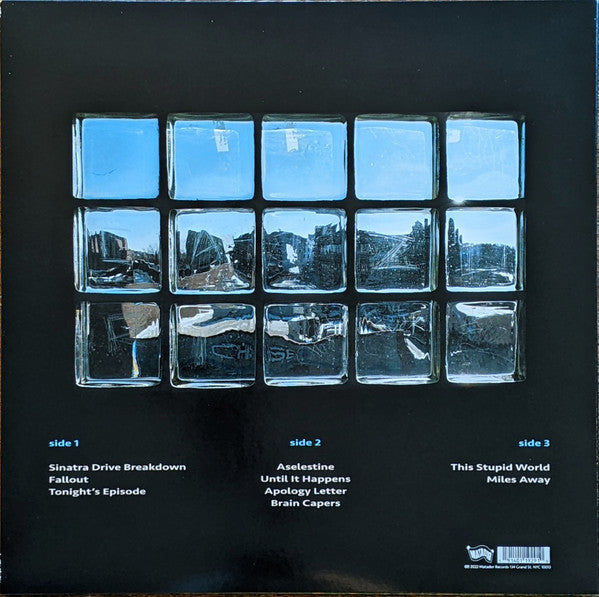 Yo La Tengo : This Stupid World (2xLP, Album)