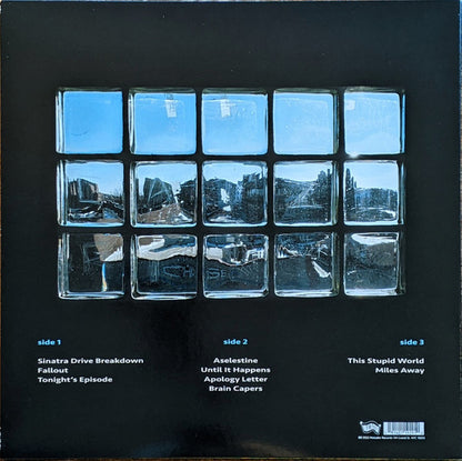 Yo La Tengo : This Stupid World (2xLP, Album)