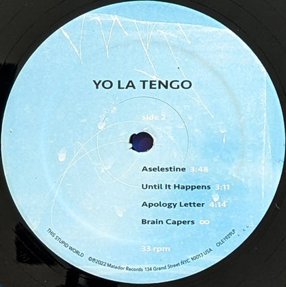 Yo La Tengo : This Stupid World (2xLP, Album)