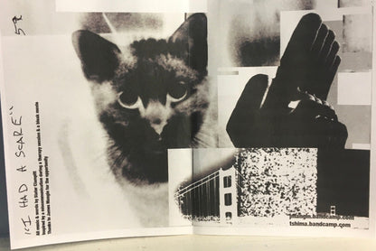 community pool hands / Shawarma Boy : Community Pool Hands / Shawarma Boy Split (7", Single)