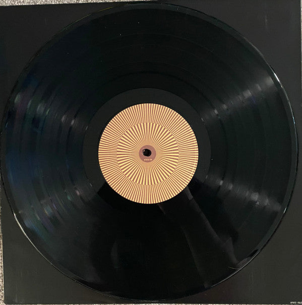 The World Is A Beautiful Place & I Am No Longer Afraid To Die : Thank You For Being Here (12", Ltd)