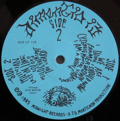 Dimentia 13 : Dimentia 13 (LP, Album)