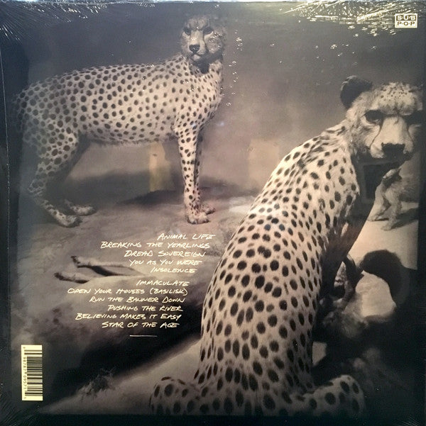 Shearwater : Animal Joy (LP, Album, Ltd, Red)