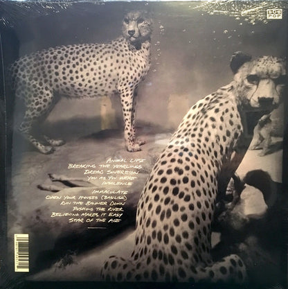 Shearwater : Animal Joy (LP, Album, Ltd, Red)