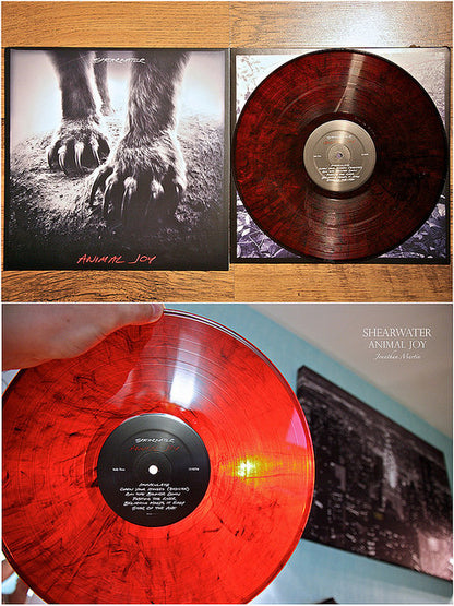 Shearwater : Animal Joy (LP, Album, Ltd, Red)