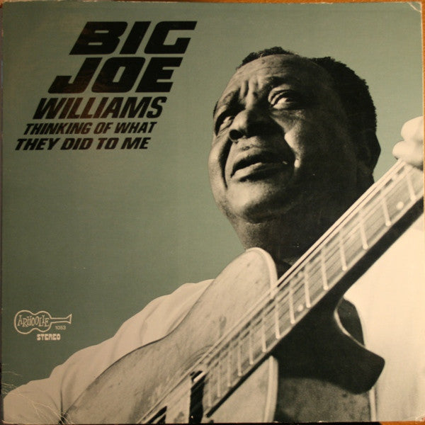Big Joe Williams : Thinking Of What They Did To Me (LP, Album)