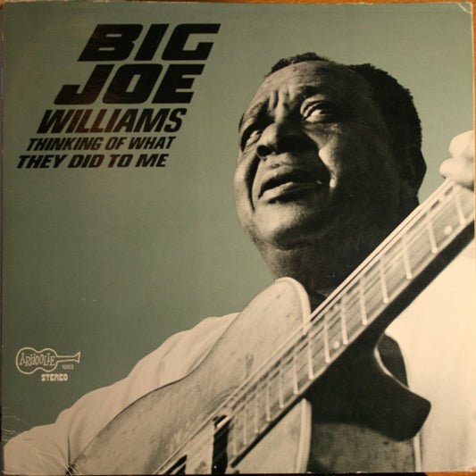 Big Joe Williams : Thinking Of What They Did To Me (LP, Album)