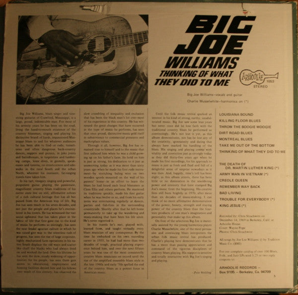 Big Joe Williams : Thinking Of What They Did To Me (LP, Album)
