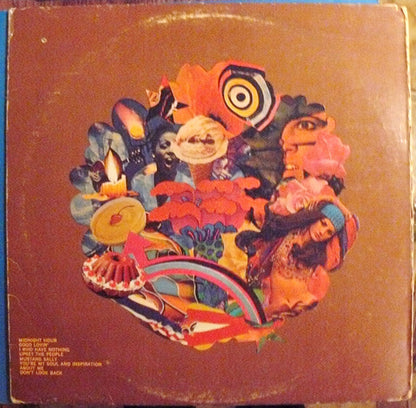 The Pigeons (2) : While The World Was Eating Vanilla Fudge (LP, Album)
