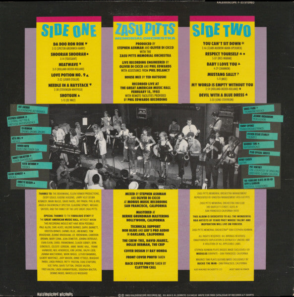 Zasu Pitts Memorial Orchestra : The Pitts Bear Down (LP, Album)