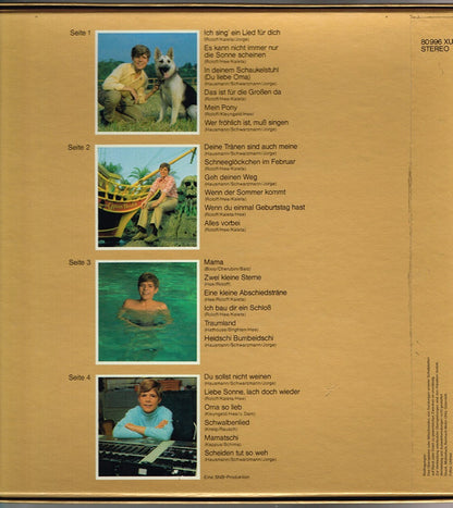 Heintje : Heintje - Stars In Gold (2xLP + Box, Comp)