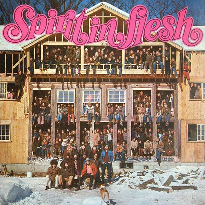 Spirit In Flesh : Spirit In Flesh (LP, Album)