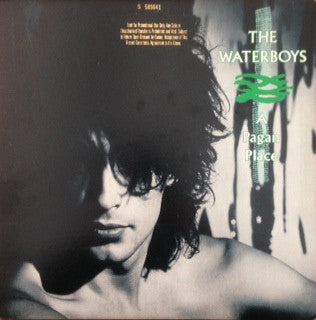 The Waterboys : A Pagan Place (LP, Album, SRC)