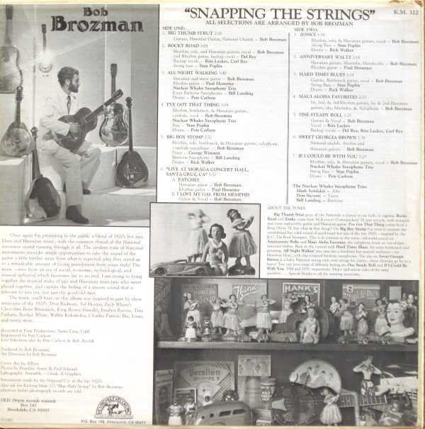 Bob Brozman : Snapping The Strings (LP, Album)