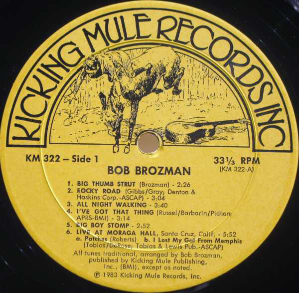 Bob Brozman : Snapping The Strings (LP, Album)