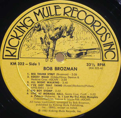 Bob Brozman : Snapping The Strings (LP, Album)