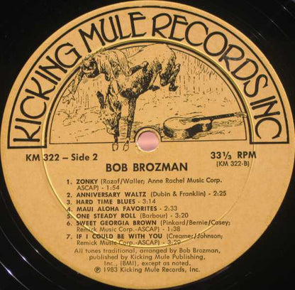 Bob Brozman : Snapping The Strings (LP, Album)