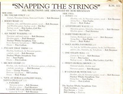Bob Brozman : Snapping The Strings (LP, Album)