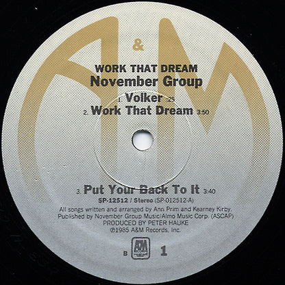 November Group : Work That Dream (12", MiniAlbum)