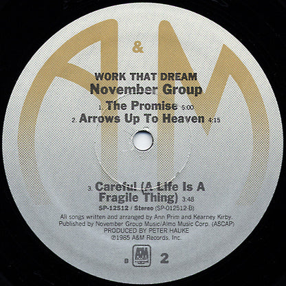 November Group : Work That Dream (12", MiniAlbum)