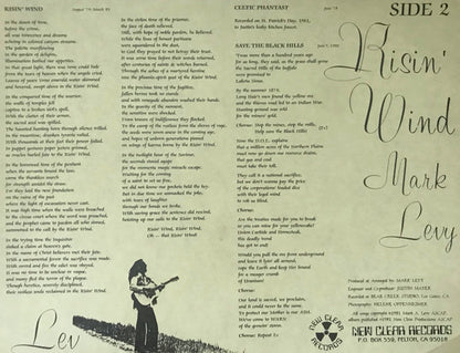 Mark A. Levy : Risin' Wind (LP)