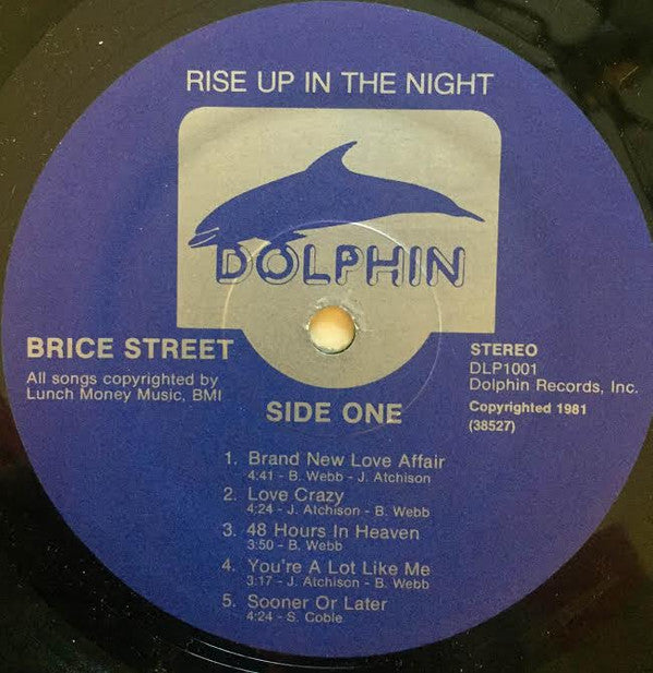 Brice Street : Rise Up In The Night (LP, Album)