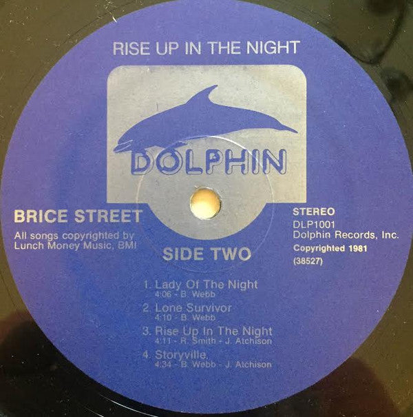 Brice Street : Rise Up In The Night (LP, Album)