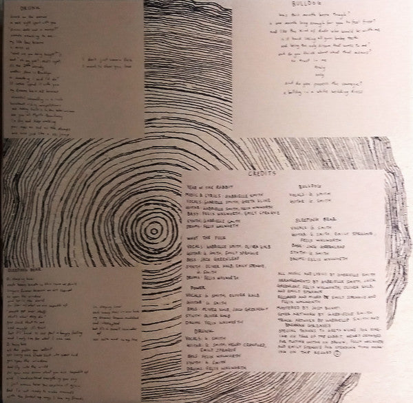 Eskimeaux : Year Of The Rabbit (LP, S/Sided, MiniAlbum, Etch, Dou)