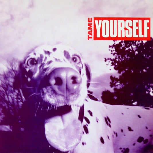 Various : Tame Yourself (12", Comp, Promo)